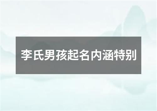 李氏男孩起名内涵特别