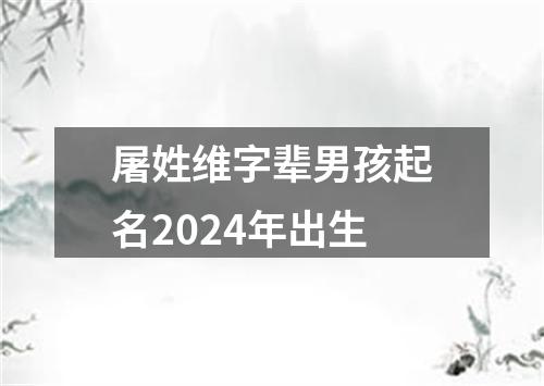 屠姓维字辈男孩起名2024年出生