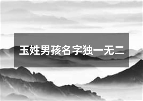 玉姓男孩名字独一无二