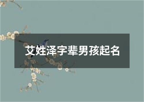 艾姓泽字辈男孩起名