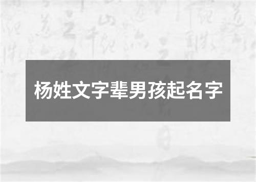 杨姓文字辈男孩起名字