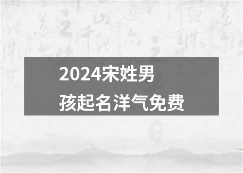 2024宋姓男孩起名洋气免费