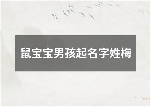 鼠宝宝男孩起名字姓梅