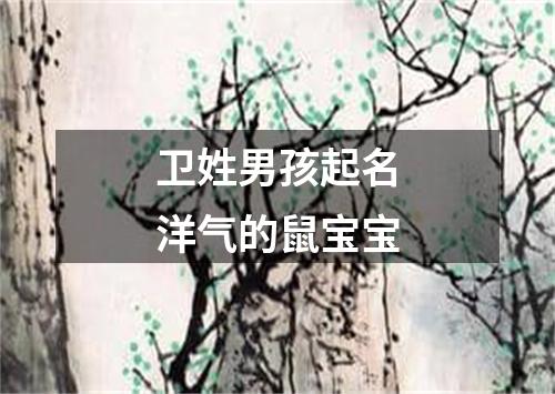 卫姓男孩起名洋气的鼠宝宝