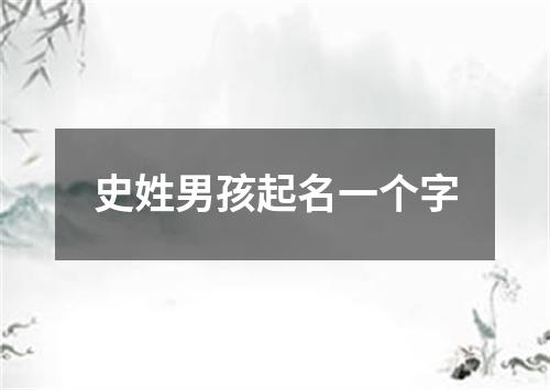 史姓男孩起名一个字