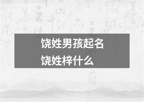 饶姓男孩起名饶姓梓什么