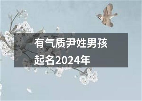 有气质尹姓男孩起名2024年