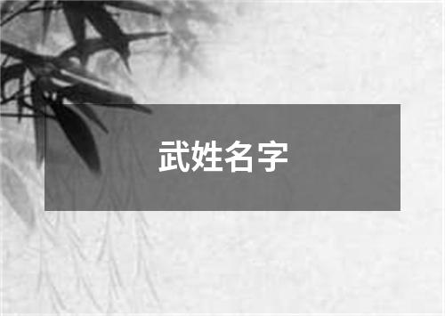 武姓名字