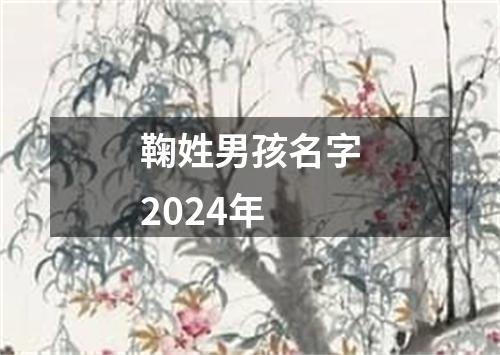 鞠姓男孩名字2024年