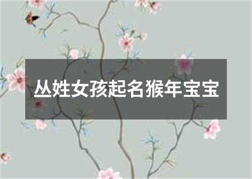 丛姓女孩起名猴年宝宝