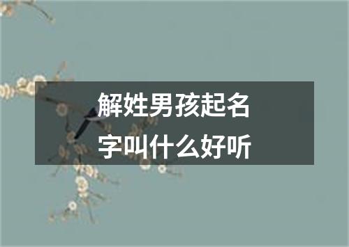 解姓男孩起名字叫什么好听