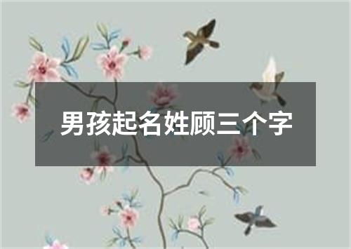 男孩起名姓顾三个字