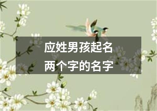 应姓男孩起名两个字的名字