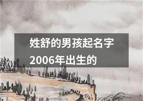 姓舒的男孩起名字2006年出生的