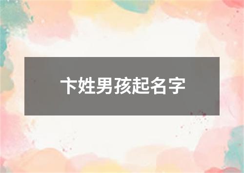 卞姓男孩起名字