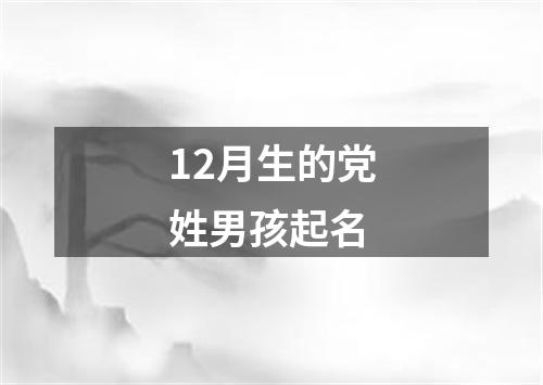 12月生的党姓男孩起名