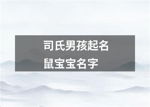 司氏男孩起名鼠宝宝名字