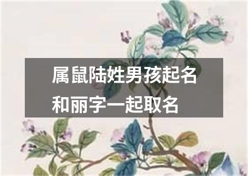 属鼠陆姓男孩起名和丽字一起取名