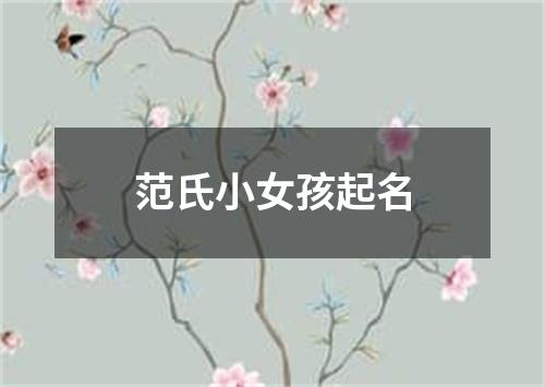 范氏小女孩起名