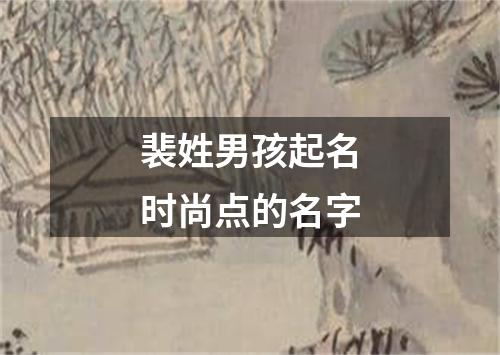 裴姓男孩起名时尚点的名字