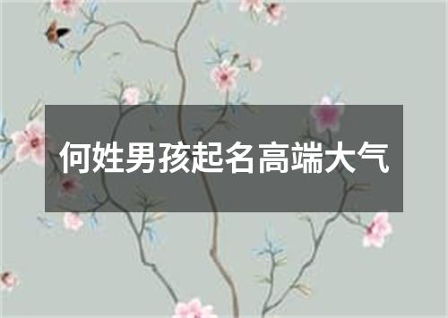 何姓男孩起名高端大气