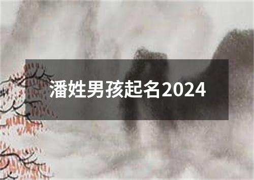 潘姓男孩起名2024