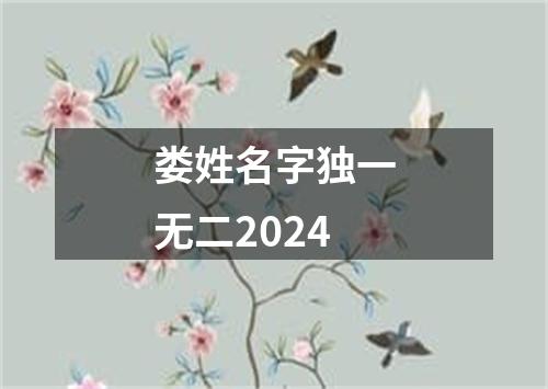 娄姓名字独一无二2024