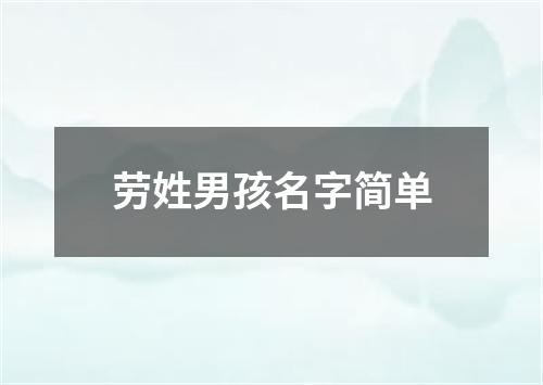 劳姓男孩名字简单