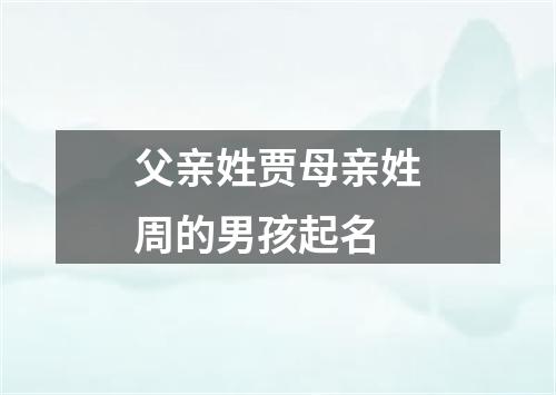 父亲姓贾母亲姓周的男孩起名