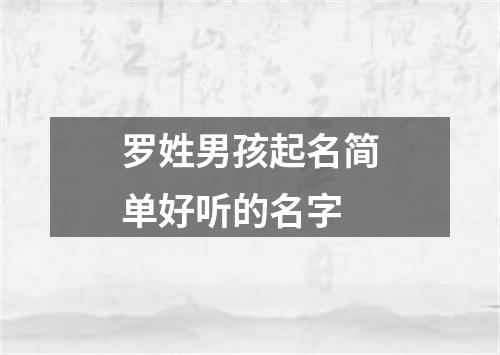 罗姓男孩起名简单好听的名字