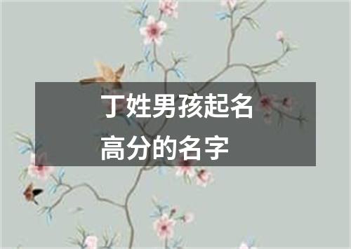 丁姓男孩起名高分的名字