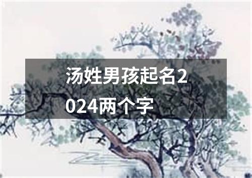 汤姓男孩起名2024两个字