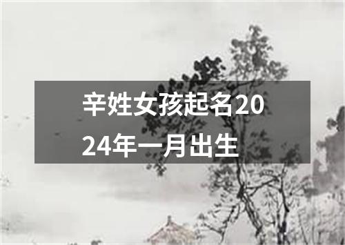 辛姓女孩起名2024年一月出生