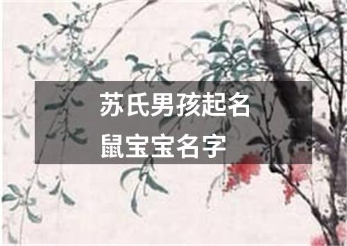 苏氏男孩起名鼠宝宝名字