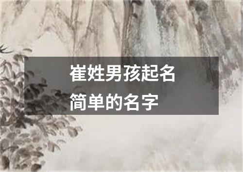 崔姓男孩起名简单的名字