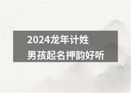 2024龙年计姓男孩起名押韵好听