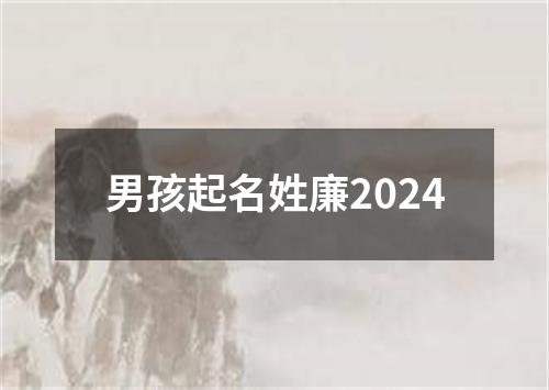 男孩起名姓廉2024