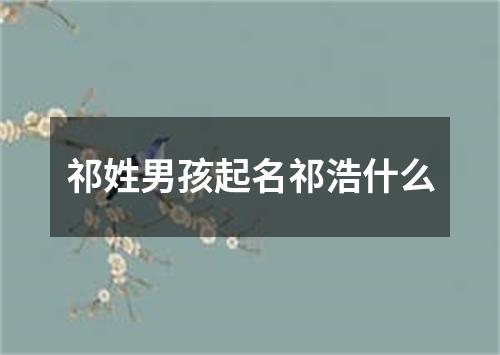 祁姓男孩起名祁浩什么