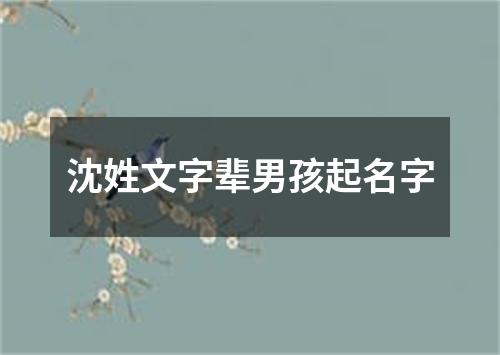 沈姓文字辈男孩起名字