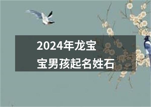 2024年龙宝宝男孩起名姓石