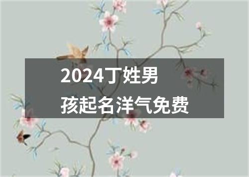 2024丁姓男孩起名洋气免费