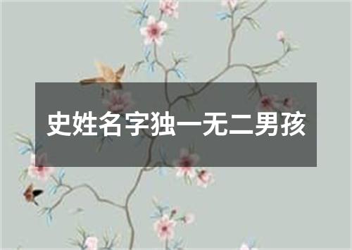 史姓名字独一无二男孩