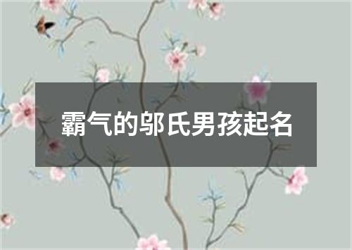 霸气的邬氏男孩起名