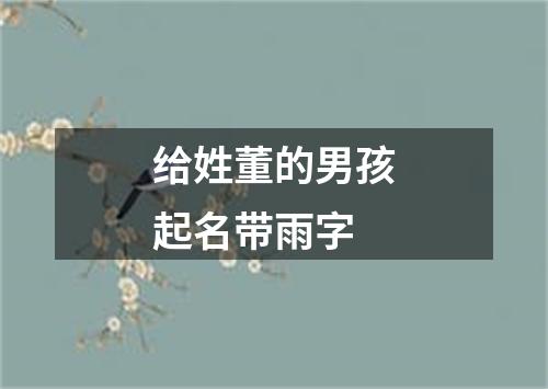 给姓董的男孩起名带雨字