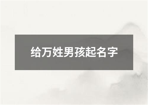 给万姓男孩起名字