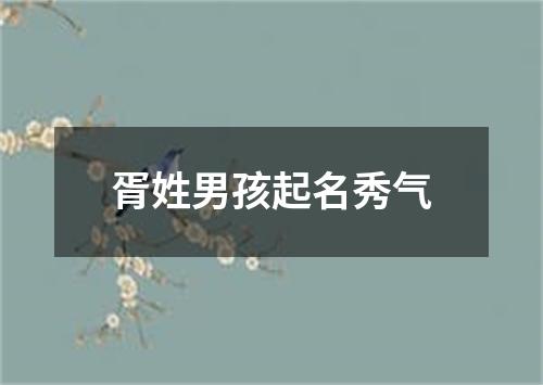 胥姓男孩起名秀气