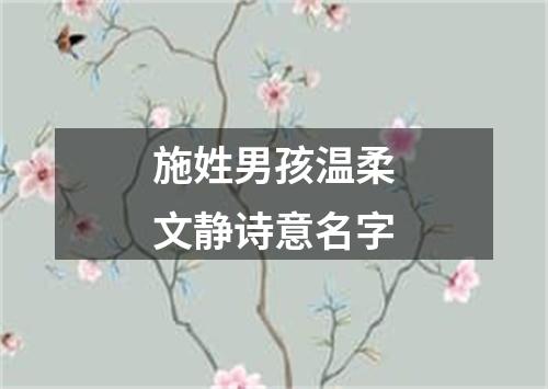 施姓男孩温柔文静诗意名字