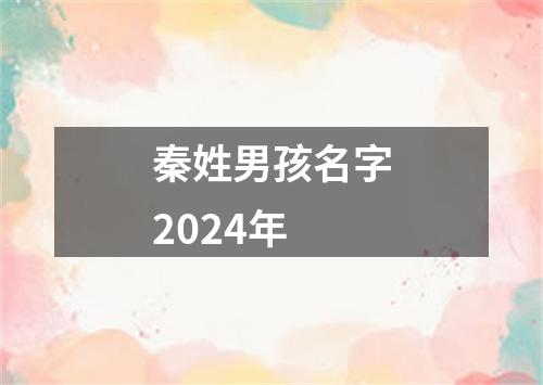 秦姓男孩名字2024年