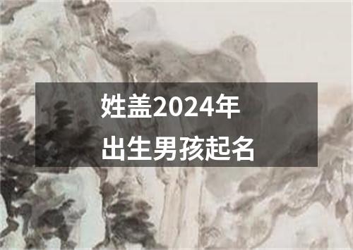 姓盖2024年出生男孩起名