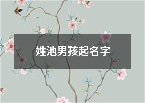 姓池男孩起名字